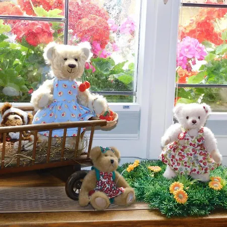 Teddybaerenhotel Hotel 3*