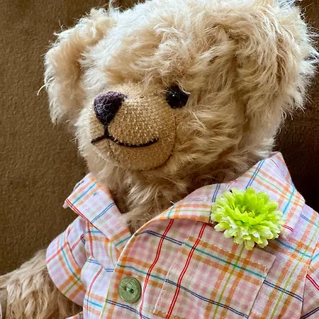 Teddybaerenhotel