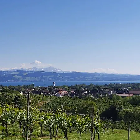 Teddybaerenhotel Ξενοδοχείο Kressbronn am Bodensee