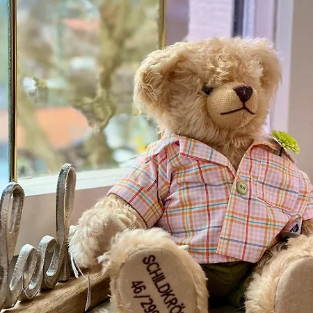 Teddybaerenhotel Szálloda Kressbronn am Bodensee