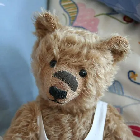 Teddybaerenhotel Ξενοδοχείο 3*