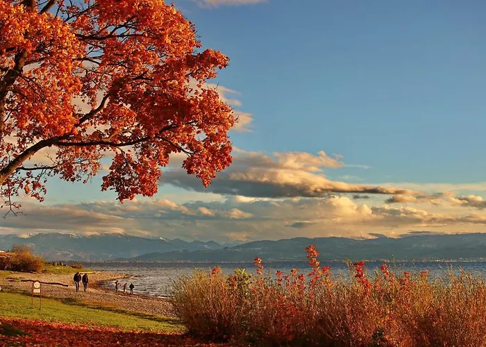 Teddybaerenhotel Kressbronn am Bodensee