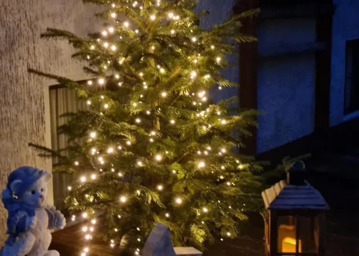 Teddybaerenhotel Hotel