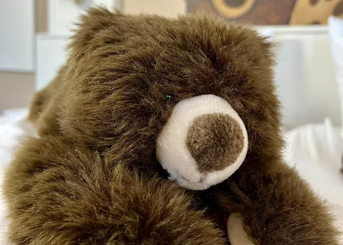 Teddybaerenhotel 3*