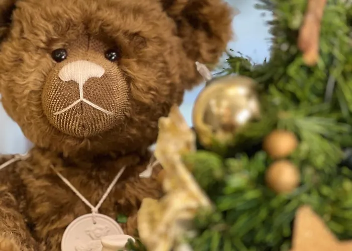 Ξενοδοχείο Teddybaerenhotel