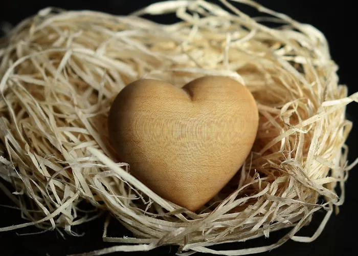 Teddybaerenhotel Kressbronn am Bodensee