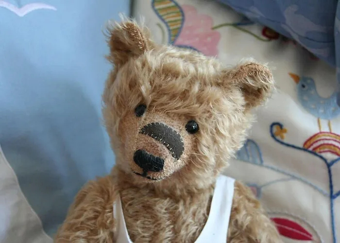 Teddybaerenhotel Hotel 3*